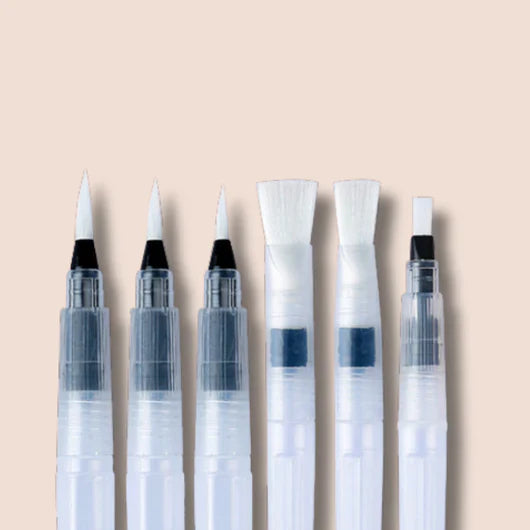 P&P Rechargeable Brush Kit 6-Pack