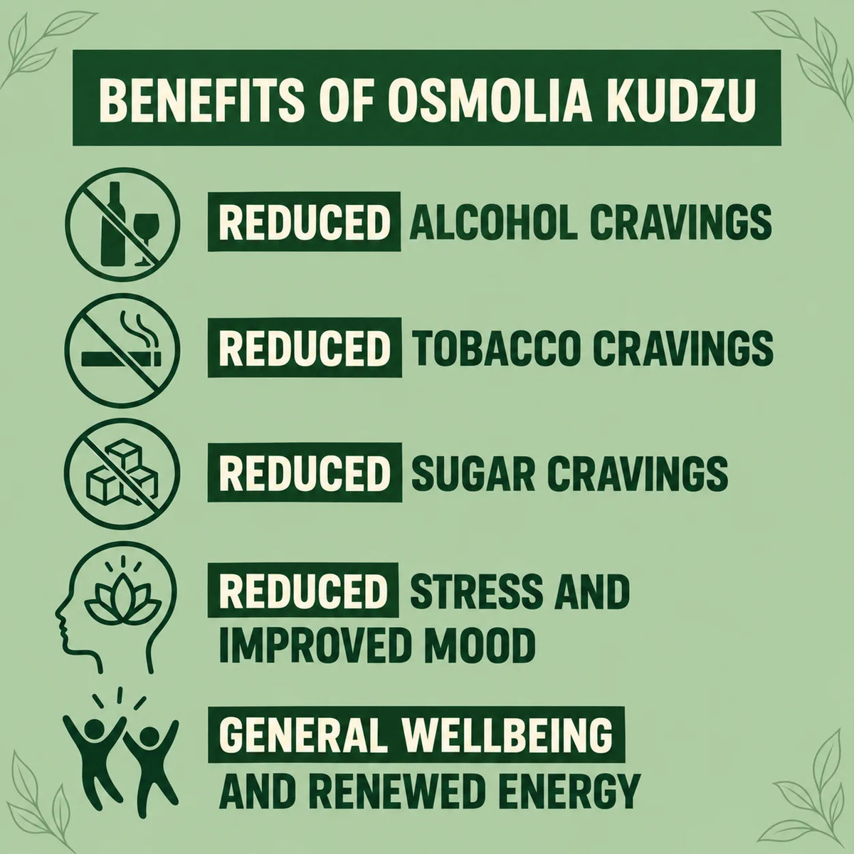 Osmolia Kudzu | Take Back Control of Your Cravings - 100% Natural