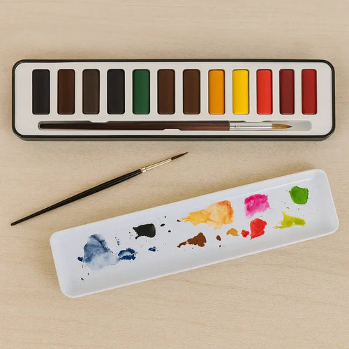 P&P 12 Colors Paint Set with Brush